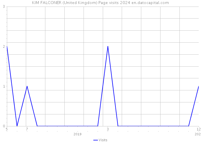 KIM FALCONER (United Kingdom) Page visits 2024 