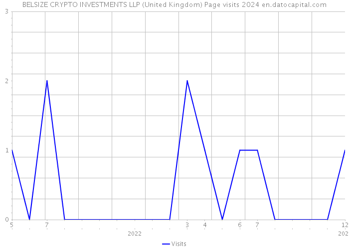 BELSIZE CRYPTO INVESTMENTS LLP (United Kingdom) Page visits 2024 