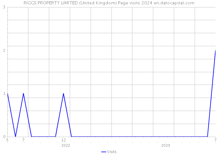 RIGGS PROPERTY LIMITED (United Kingdom) Page visits 2024 