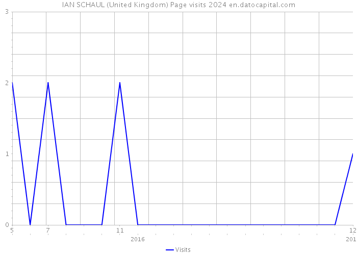 IAN SCHAUL (United Kingdom) Page visits 2024 