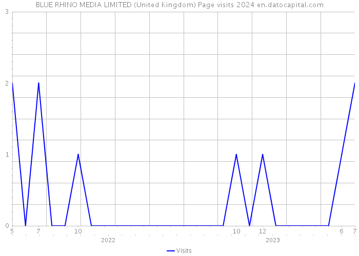 BLUE RHINO MEDIA LIMITED (United Kingdom) Page visits 2024 