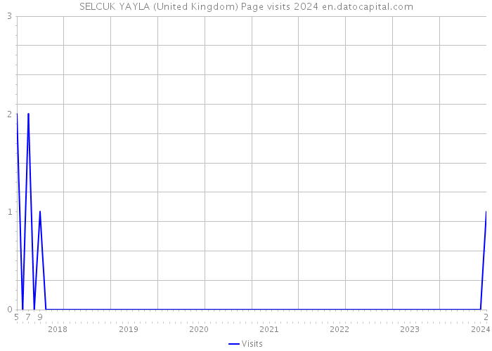 SELCUK YAYLA (United Kingdom) Page visits 2024 