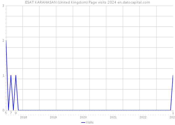 ESAT KARAHASAN (United Kingdom) Page visits 2024 