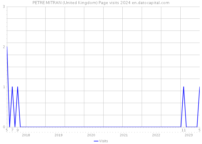 PETRE MITRAN (United Kingdom) Page visits 2024 