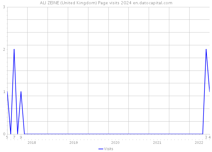 ALI ZEINE (United Kingdom) Page visits 2024 