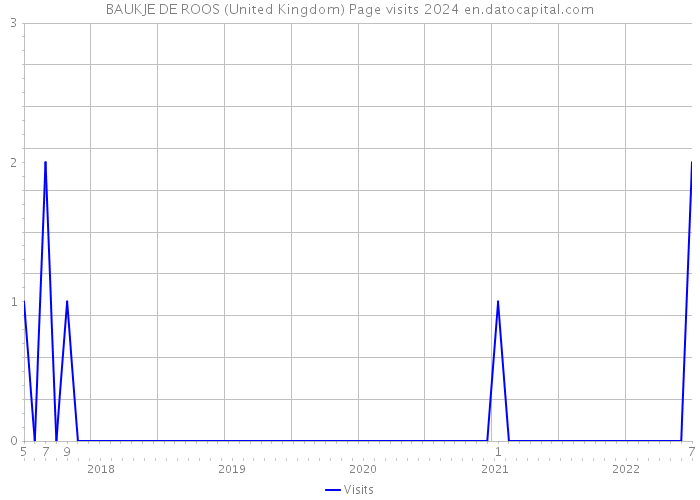 BAUKJE DE ROOS (United Kingdom) Page visits 2024 