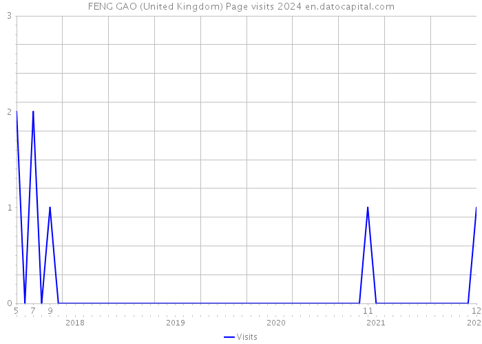 FENG GAO (United Kingdom) Page visits 2024 