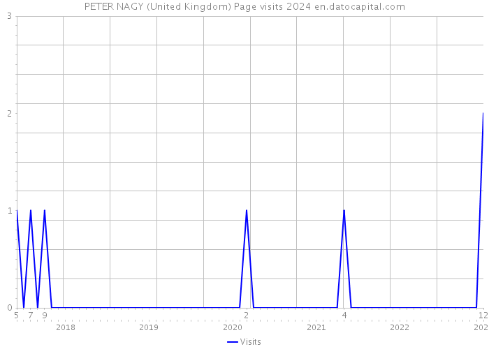 PETER NAGY (United Kingdom) Page visits 2024 