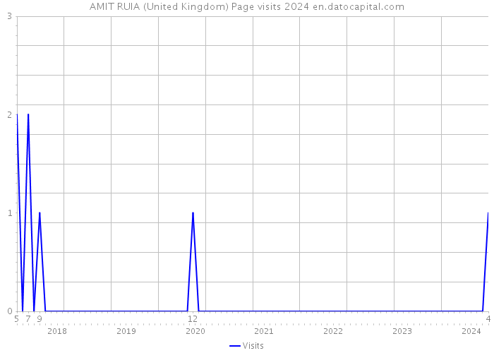 AMIT RUIA (United Kingdom) Page visits 2024 