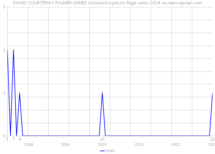 DAVID COURTENAY PALMER-JONES (United Kingdom) Page visits 2024 