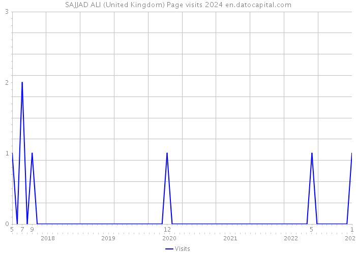 SAJJAD ALI (United Kingdom) Page visits 2024 