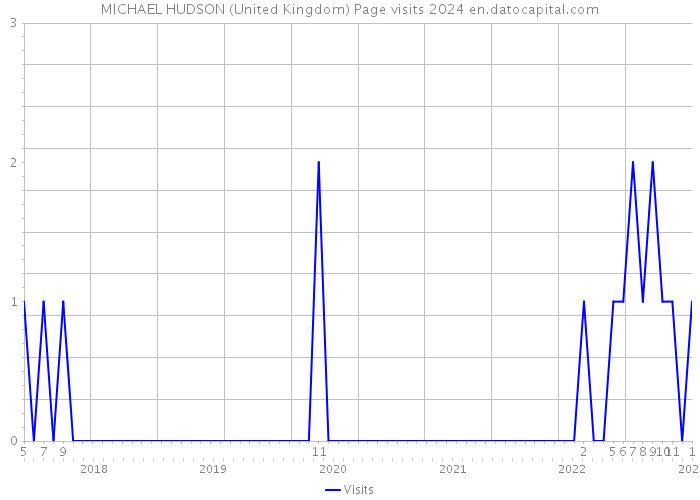 MICHAEL HUDSON (United Kingdom) Page visits 2024 