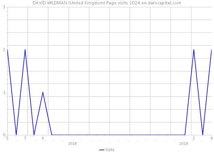 DAVID WILDMAN (United Kingdom) Page visits 2024 