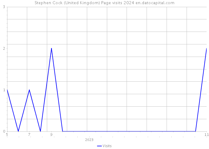 Stephen Cock (United Kingdom) Page visits 2024 