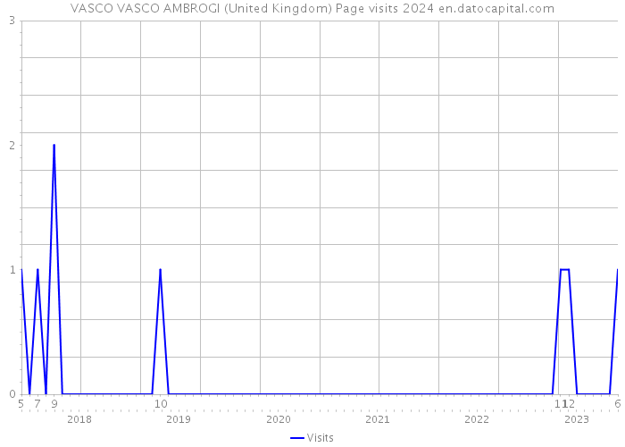 VASCO VASCO AMBROGI (United Kingdom) Page visits 2024 