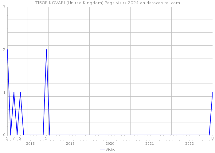 TIBOR KOVARI (United Kingdom) Page visits 2024 