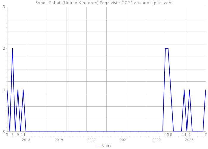 Sohail Sohail (United Kingdom) Page visits 2024 