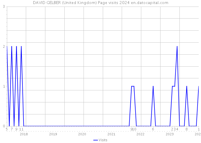 DAVID GELBER (United Kingdom) Page visits 2024 