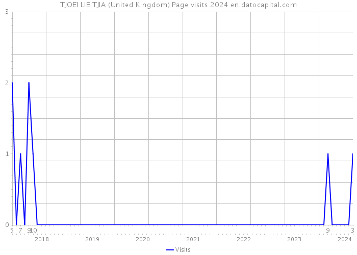 TJOEI LIE TJIA (United Kingdom) Page visits 2024 