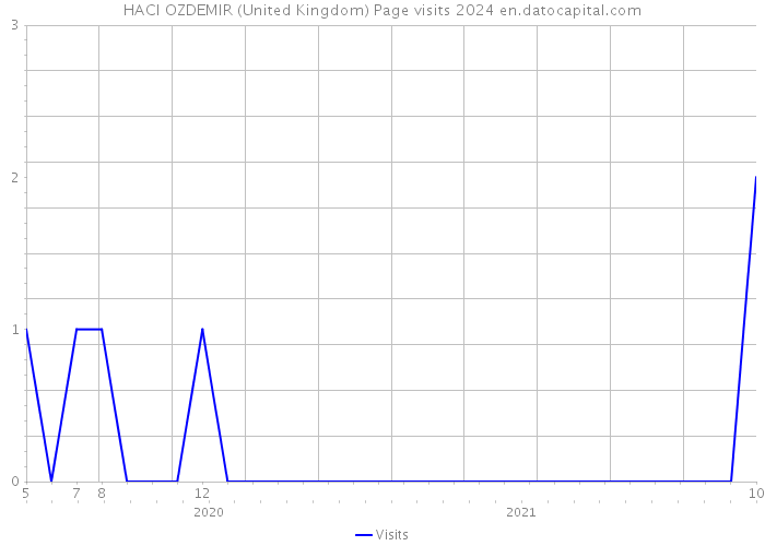 HACI OZDEMIR (United Kingdom) Page visits 2024 