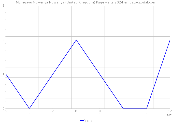 Mzingaye Ngwenya Ngwenya (United Kingdom) Page visits 2024 