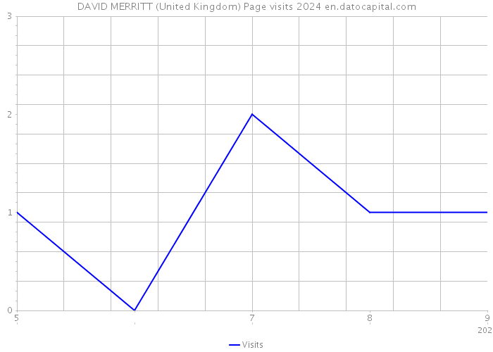 DAVID MERRITT (United Kingdom) Page visits 2024 