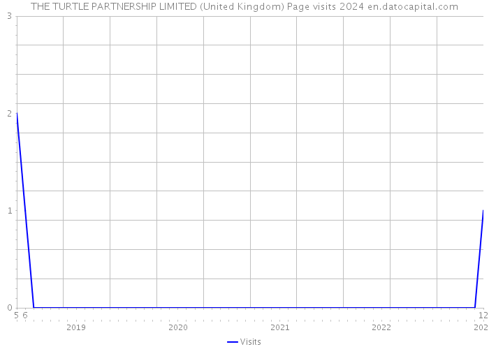 THE TURTLE PARTNERSHIP LIMITED (United Kingdom) Page visits 2024 