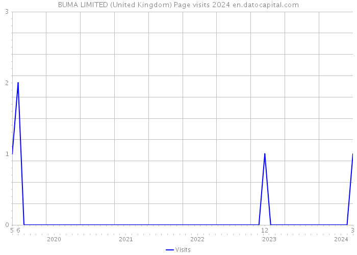 BUMA LIMITED (United Kingdom) Page visits 2024 