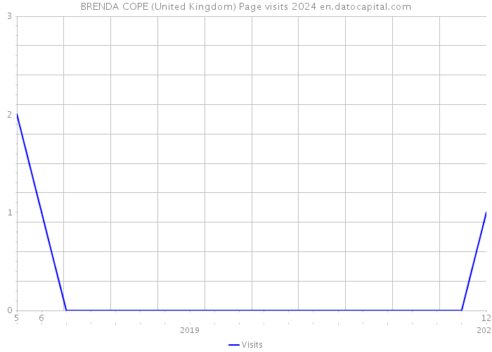 BRENDA COPE (United Kingdom) Page visits 2024 