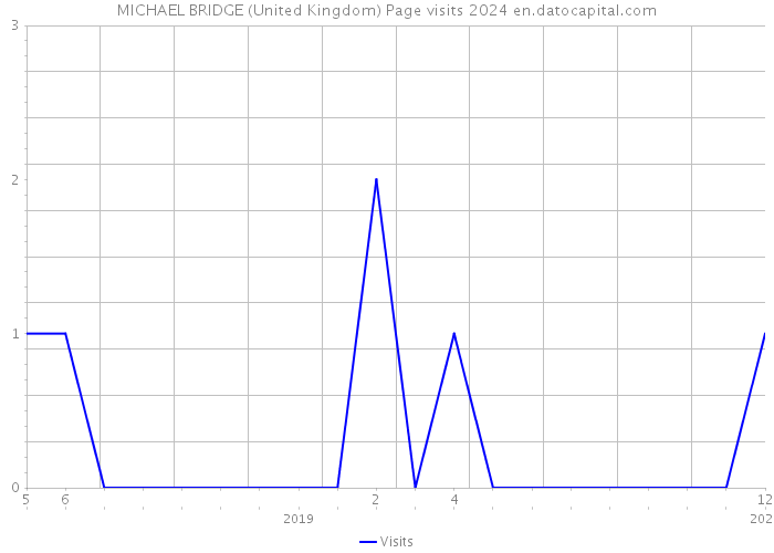 MICHAEL BRIDGE (United Kingdom) Page visits 2024 