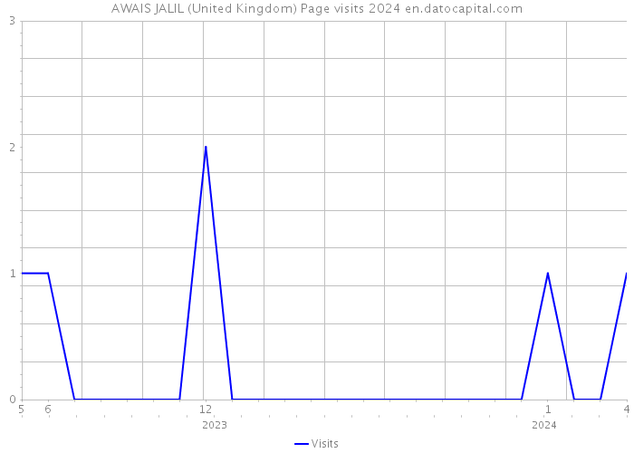 AWAIS JALIL (United Kingdom) Page visits 2024 