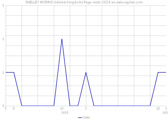SHELLEY MORRIS (United Kingdom) Page visits 2024 