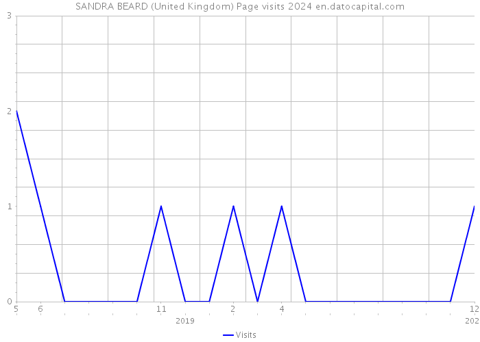 SANDRA BEARD (United Kingdom) Page visits 2024 