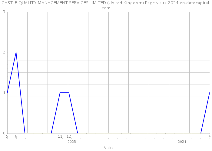 CASTLE QUALITY MANAGEMENT SERVICES LIMITED (United Kingdom) Page visits 2024 