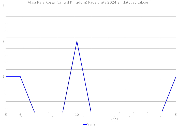 Aksa Raja Kosar (United Kingdom) Page visits 2024 
