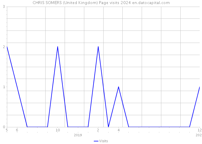 CHRIS SOMERS (United Kingdom) Page visits 2024 