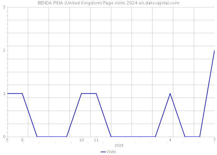 BENDA PINA (United Kingdom) Page visits 2024 