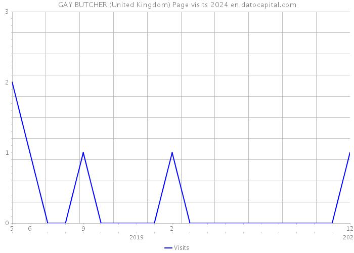GAY BUTCHER (United Kingdom) Page visits 2024 