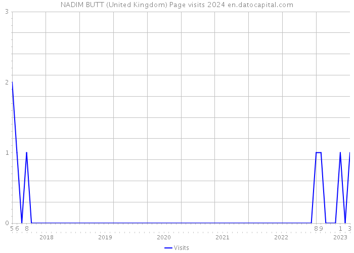 NADIM BUTT (United Kingdom) Page visits 2024 