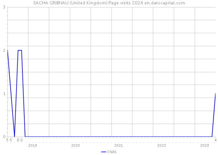 SACHA GRIBNAU (United Kingdom) Page visits 2024 