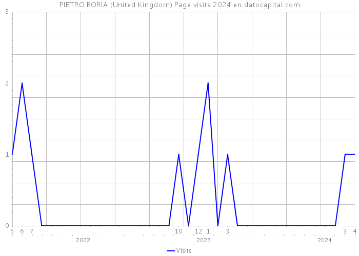 PIETRO BORIA (United Kingdom) Page visits 2024 