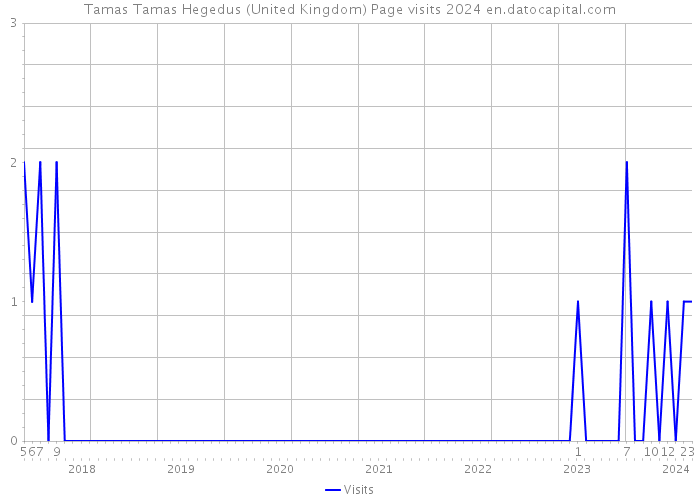 Tamas Tamas Hegedus (United Kingdom) Page visits 2024 