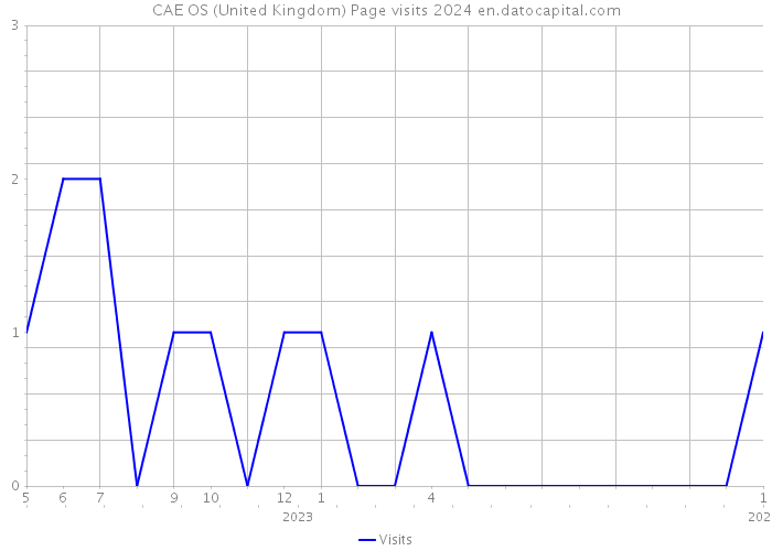 CAE OS (United Kingdom) Page visits 2024 
