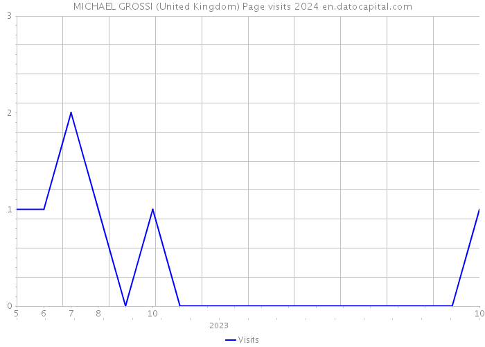 MICHAEL GROSSI (United Kingdom) Page visits 2024 
