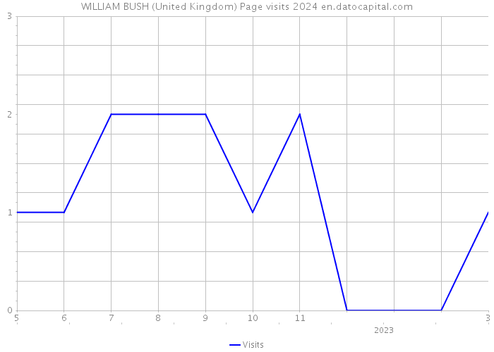 WILLIAM BUSH (United Kingdom) Page visits 2024 