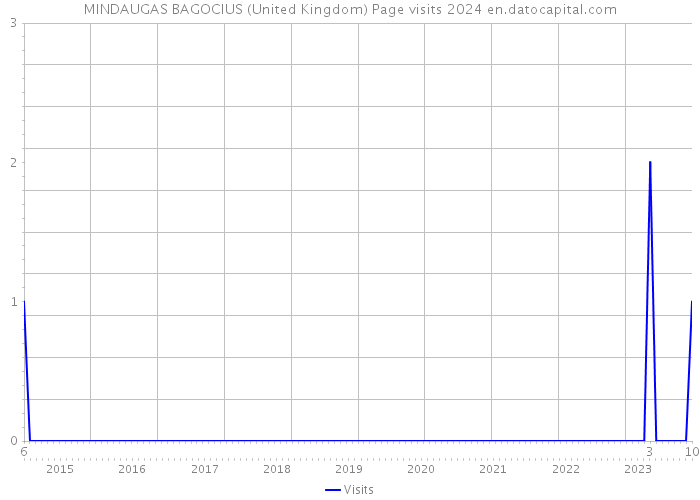 MINDAUGAS BAGOCIUS (United Kingdom) Page visits 2024 