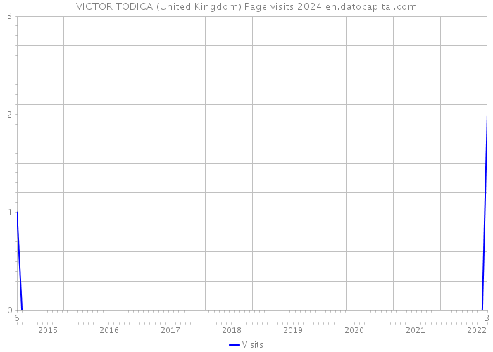 VICTOR TODICA (United Kingdom) Page visits 2024 