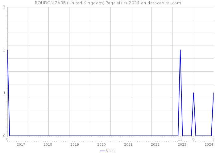 ROUDON ZARB (United Kingdom) Page visits 2024 