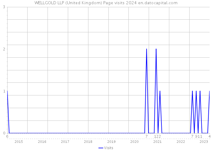 WELLGOLD LLP (United Kingdom) Page visits 2024 