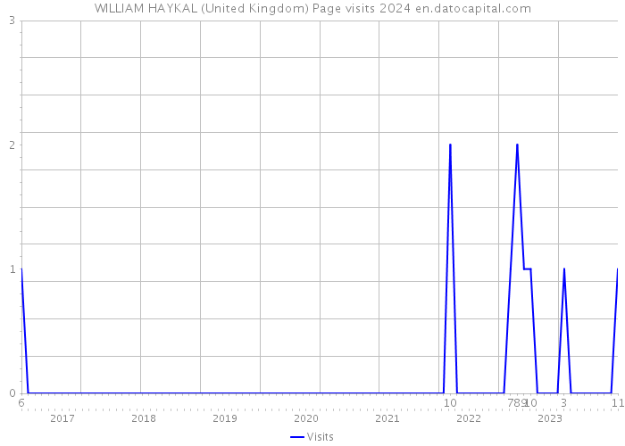 WILLIAM HAYKAL (United Kingdom) Page visits 2024 